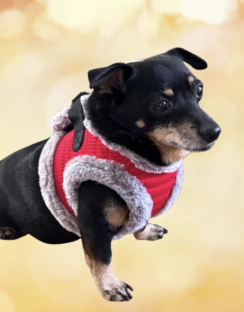 Punaiset valjaat keinoturkiksella