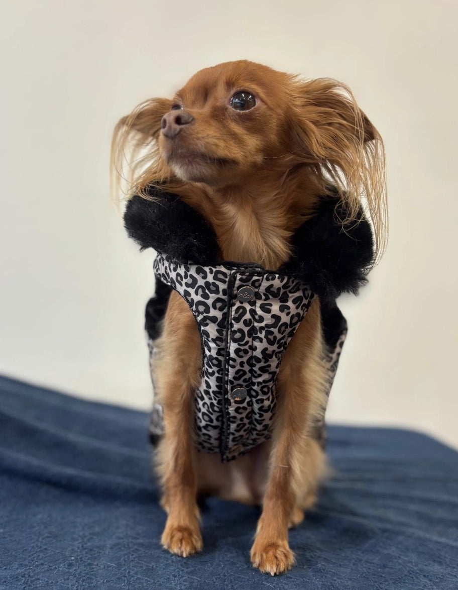 Leopardikuosillinen koiran ja kissan takki keinoturkiskauluksella