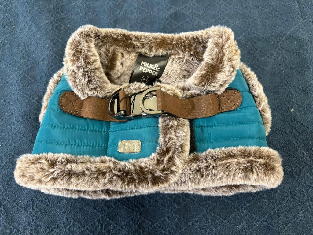 Petroolinsiniset kenoturkisvaljaat koiralle ja kissalle