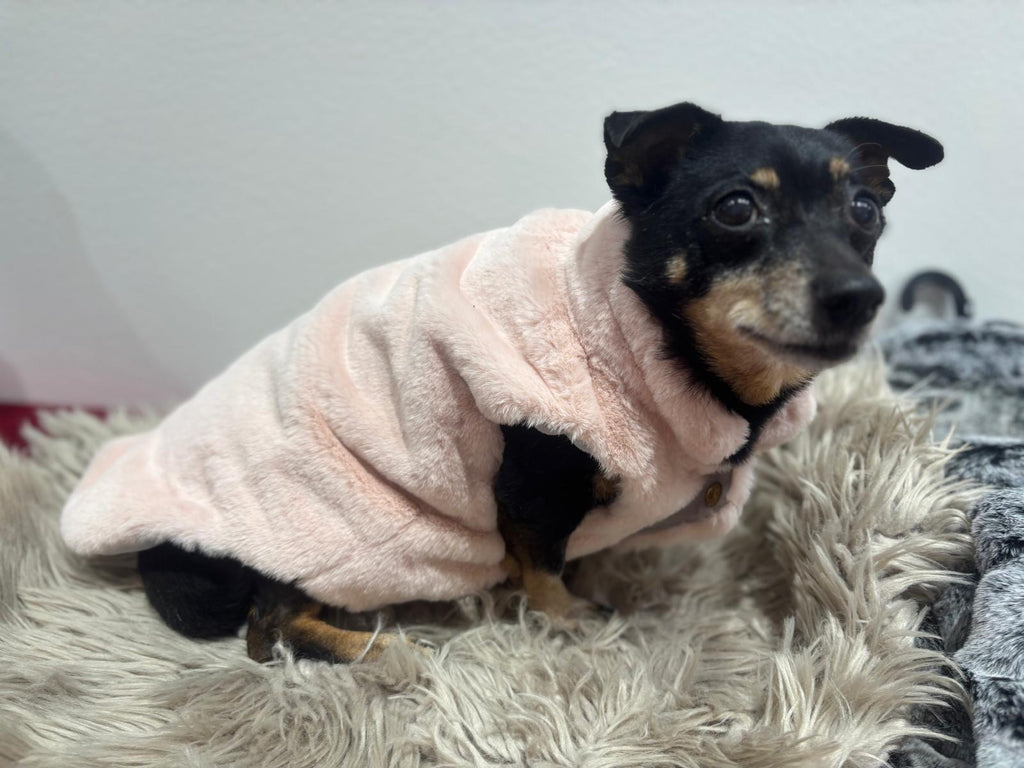 Koiran roosa keinoturkistakki