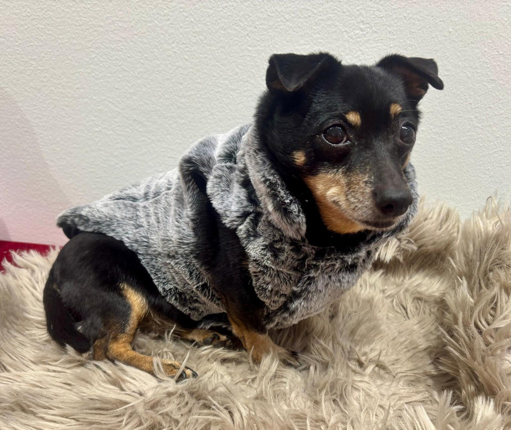 Koiran keinoturkistakki