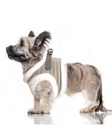 Koiran beiget karvavaljaat